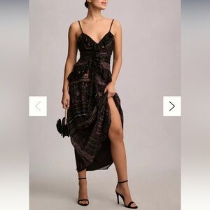 Let Me Be Sheer Printed V-Neck Midi Dress